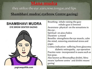 Shambhavi mudra( eyebrow Centre gazing)
Breathing- inhale-raising the gaze
exhale-gaze is lowered
Awareness- physical- on the sensations in
the eye .
Spiritual- on ajna chakra
Duration- 5 round
Benefits- strengthens the eye muscle, calm
the mind, removing emotional stress and
anger.
Contra-indication- suffering from glaucoma
diabetic retinopathy , eye operation
Practice note- incorporated in asans such as
lion pose.
Also known as Bhrumadhya drishti, bhru
means ‘eyebrow centre ’ and drishti means ‘
gazing’.
 