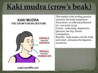 This mudra is the cooling practice
maintain the body temprature.
Preacution- in cold and polluated
air , not strain in eye
Contra – indicating- depression ,
glucoma, low b.p, chronc
constipation.
Benefits- kaki mudra cool the body
and mind , stimulate the digestive
secretions.
 