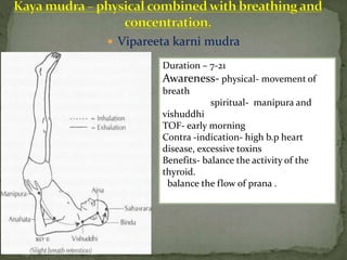  Vipareeta karni mudra
Duration – 7-21
Awareness- physical- movement of
breath
spiritual- manipura and
vishuddhi
TOF- early morning
Contra -indication- high b.p heart
disease, excessive toxins
Benefits- balance the activity of the
thyroid.
balance the flow of prana .
 