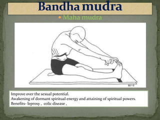  Maha mudra
Improve over the sexual potential.
Awakening of dormant spiritual energy and attaining of spiritual powers.
Benefits- leprosy , colic disease ,
 