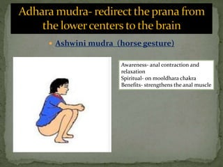  Ashwini mudra (horse gesture)
Awareness- anal contraction and
relaxation
Spiritual- on mooldhara chakra
Benefits- strengthens the anal muscle
 
