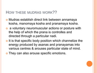 HOW THESE MUDRAS WORK??
 Mudras establish direct link between annamaya
kosha, manomaya kosha and pranamaya kosha.
 a voluntary neuromuscular actions or posture with
the help of which the prana is controlles and
directed through a particular nadi.
 It is that specific body position which channelize the
energy produced by asanas and pranayamas into
various centres & arouses particular state of mind.
 They can also arouse specific emotions.
 