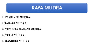 KAYA MUDRA
 PASHINEE MUDRA
TADAGI MUDRA
 VIPARITA KARANI MUDRA
 YOGA MUDRA
MANDUKI MUDRA
 