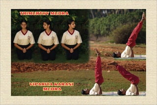 Mudras (New Edition)