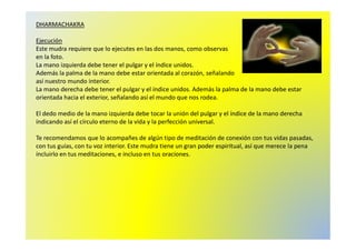 DHARMACHAKRA 
Ejecución 
Este mudra requiere que lo ejecutes en las dos manos, como observas 
en la foto. 
La mano izquierda debe tener el pulgar y el índice unidos. 
Además la palma de la mano debe estar orientada al corazón, señalando 
así nuestro mundo interior. 
La mano derecha debe tener el pulgar y el índice unidos. Además la palma de la mano debe estar 
orientada hacia el exterior, señalando así el mundo que nos rodea. 
El dedo medio de la mano izquierda debe tocar la unión del pulgar y el índice de la mano derecha 
indicando así el círculo eterno de la vida y la perfección uunniivveerrssaall.. 
Te recomendamos que lo acompañes de algún tipo de meditación de conexión con tus vidas pasadas, 
con tus guías, con tu voz interior. Este mudra tiene un gran poder espiritual, así que merece la pena 
incluirlo en tus meditaciones, e incluso en tus oraciones. 
 
