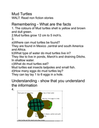 Mud Turtles
WALT: Read non fiction stories

Remembering - What are the facts
1. The colours of Mud turtles shell is yellow and brown
and dull green.
2.Mud turtles grow 12 cm to 5 inch's.
3.
a)Where can mud turtles be found?
They are found in Mexico ,central and south America
and Africa.
b)What type of water do mud turtles live in?
They like to live in ponds, March's and draining Ditchs.
In shallow water.
c)What do mud turtles eat?
Mud turtles eat insects tadpoles and small fish.
d)How many eggs do mud turtles lay?
They can lay lay 1 to 6 eggs in a hole.

Understanding - show that you understand
the information
4.
 