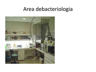 Areadebacteriologia<br />