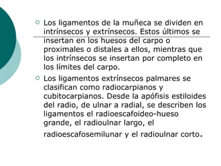Los ligamentos de la muñeca se dividen en intrínsecos y extrínsecos. Estos últimos se insertan en los huesos del carpo o proximales o distales a ellos, mientras que los intrínsecos se insertan por completo en los límites del carpo.  Los ligamentos extrínsecos palmares se clasifican como radiocarpianos y cubitocarpianos. Desde la apófisis estiloides del radio, de ulnar a radial, se describen los ligamentos el radioescafoideo-hueso grande, el radioulnar largo, el radioescafosemilunar y el radioulnar corto .  