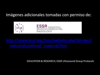 Imágenes adicionales tomadas con permiso de:

http://www.essr.org/cms/website.php?id=/en/i
ndex/educational_material.htm

EDUCATION & RESEARCH; ESSR Ultrasound Group Protocols

 