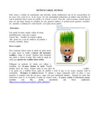 MUÑECO CABEZA DE PELO.
Hola vamos a realizar un experimento muy divertido, donde analizaremos una de las características de
los seres vivos como lo es la de crecer. En esta oportunidad realizaremos un muñeco muy divertido, al
cual le podremos hacer cortes de cabello y le volverá a crecer. Para ello toda la semana estarán atentos
para ver qué largo alcanza la cabellera de este gracioso muñeco, le podrán poner ganchos, cauchitos,
etc. Aprende a continuación cómo hacerlo con ayuda de tus padres.
Materiales:
Una media de nylon (media velada de dama,
preferiblemente color piel o negra)
Aserrín fino, Semillas de césped o alpiste
hilo, goma eva y ojos de muñecos de peluche o
botones, cartulina, tijeras
Paso a seguir:
Para comenzar deben cortar la media de nylon desde
la punta hasta la rodilla y colocar allí bastantes
semillas y luego el aserrín. Aprieten bien formando
una esfera y cierren el nudo. Den vuelta la media de
modo que queden las semillas hacia arriba.
Pellizquen un pedacito de media con relleno y
enróllenlo con hilo para formar la nariz. Pueden
también hacer las orejas. Peguen sobre la cara ojitos de cotillón
o de goma eva y también bocas, gafas de alambre y todo lo que se les ocurra, dejando volar tu
creatividad. Remojen el muñeco durante 15 minutos y luego colóquenlo sobre un plato o vaso
pequeño. Ir regando cada día con poca agua, solo para mantenerlo húmedo. Después de varios días
observarás como le va creciendo el pelito de césped verde... Si quieres ampliar la información puedes
consultar este link, donde encontrarás una breve explicación.
(https://www.youtube.com/watch?v=uPIn_oBm9zU).
Ilustración
1http://palpublicidad.cl/web/producto/muneco-
cabeza-de-pasto-huasa/
