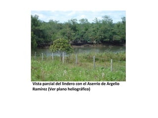 Vista parcial del lindero con el Aserrío de Argelio Ramírez (Ver plano heliográfico) 