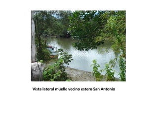 Vista lateral muelle vecino estero San Antonio 