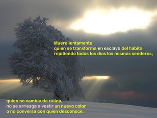 Muere lentamente
quien se transforma en esclavo del hábito
repitiendo todos los días los mismos senderos,
quien no cambia de rutina,
no se arriesga a vestir un nuevo color
o no conversa con quien desconoce.
 