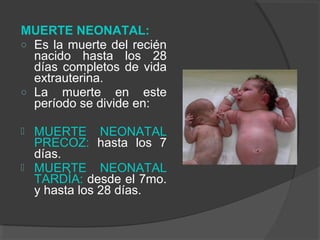 MUERTE NEONATAL:
o Es la muerte del recién
nacido hasta los 28
días completos de vida
extrauterina.
o La muerte en este
período se divide en:
 MUERTE NEONATAL
PRECOZ: hasta los 7
días.
 MUERTE NEONATAL
TARDÍA: desde el 7mo.
y hasta los 28 días.
 