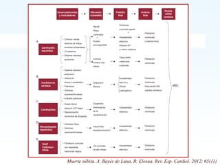 Muerte súbita. A. Bayés de Luna, R. Elosua. Rev. Esp. Cardiol. 2012; 65(11)
 
