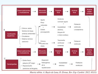 Muerte súbita. A. Bayés de Luna, R. Elosua. Rev. Esp. Cardiol. 2012; 65(11)
 