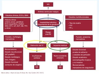 Muerte súbita. A. Bayés de Luna, R. Elosua. Rev. Esp. Cardiol. 2012; 65(11)
Muerte súbita. A. Bayés de Luna, R. Elosua. Rev. Esp. Cardiol. 2012; 65(11)
 