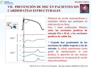 VII. PREVENCIÓN DE MSC EN PACIENTES SIN
CARDIOPATÍAS ESTRUCTURALES
MUERTE SÚBITA
Potencial de acción transmembrana y
corrientes iónicas que participan en
cada una de sus fases.
Fase 1 (área sombreada): Balance
entre las corrientes positivas de
entrada INa e ICaL y las corrientes
positivas de salida Ito.
* Cuando hay predominio de las
corrientes de salida respecto a las de
entrada, la célula experimenta cierto
grado de repolarización, lo cual
produce la aparición de una muesca
característica en el potencial de acción
(línea discontinua).
 