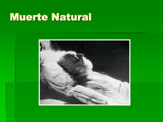 Muerte Natural
 
