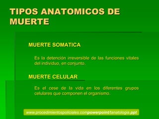 TIPOS ANATOMICOS DE
MUERTE
MUERTE SOMATICA
Es la detención irreversible de las funciones vitales
del individuo, en conjunto.
MUERTE CELULAR
Es el cese de la vida en los diferentes grupos
celulares que componen el organismo.
www.procedimientospoliciales.compowerpoint/tanatologia.ppt
 