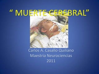 “ MUERTE CEREBRAL”


    Carlos A. Casallo Quiliano
     Maestria Neurociencias
               2011
 