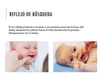 REFLEJO DE BÚSQUEDA 
Es un reflejo primario o arcaico, si se presiona cerca de la 
boca del bebé, desplaza la cabeza hacia el lado donde 
nota la presión. Desaparece a los 2 meses. 
 