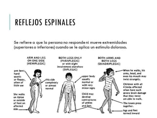 REFLEJOS ESPINALES 
Se refiere a que la persona no responde ni mueve 
extremidades (superiores o inferiores) cuando se le aplica 
un estímulo doloroso. 
 