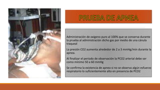 Muerte cerebral | PPTX