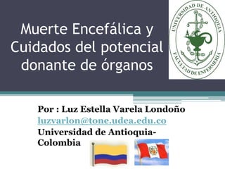 Muerte Encefálica y  Cuidados del potencial donante de órganos Por : Luz Estella Varela Londoño luzvarlon@tone.udea.edu.co Universidad de Antioquia- Colombia 