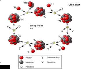 Serie principal
HR
Ciclo CNO
 
