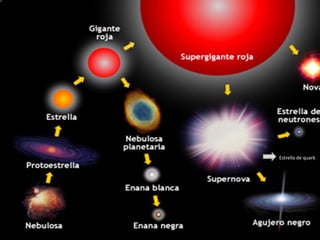 Estrella de quark
 