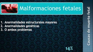Malformaciones fetales
 