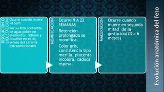 DISOLUCIONO
LICUEFACCION
Ocurre cuando muere
<8 Sem
Por su Alto contenido
de agua pobre en
elementos, retiene y
disuelve en el liq
seroso del ceroma
extraembrionario
MOMIFICACION
Ocurre 9 A 22
SEMANAS
Retención
prolongada se
momifica.
Color gris,
consistencia tipo
masilla, placenta
incolora, caduca
espesa.
MACERACION
Ocurre cuando
muere en segunda
mitad de la
gestación(23 a 6
meses)
 