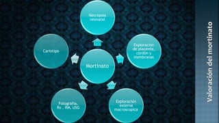 Mortinato
Necropsia
neonatal
Exploración
de placenta,
cordón y
membranas
Exploración
externa
macroscopica
Fotografía,
Rx , RM, USG
Cariotipo
 