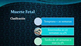 Temprana < 20 semanas
Intermedia 20-27
semanas 24.4%
Tardía de 28 semanas o
mas 23.3%
 