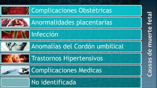 Complicaciones Obstétricas
Anormalidades placentarias
Infección
Anomalías del Cordón umbilical
Trastornos Hipertensivos
Complicaciones Medicas
No identificada
 