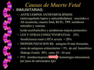 Causas de Muerte FetalINMUNITARIAS:ANTICUERPOS ANTIFOSFOLIPIDOS: (anticoagulante lupico y anticardiolipina)   asociados a  Ab recurrente, muerte fetal, RCIU, TPP, trombosis arteriales y venosas.          Acido acetilsalicilico y prednisona mejora pronostico.  LES Y OTRAS CONECTIVOPATIAS:   25%    Insuficiencia renal e HTA severa  < 20%ISOINMUNIZACION Rh:  antigeno D más frecuente,    resto de antigenos eritrocitarios < 5%  de enf. hemolitica    Hidrops Fetalis  50%  entre 18 - 34 semPTI:  trombocitopenia fetal ->  hemorragia intracraneal, por paso de anticuerpos IgG.                 