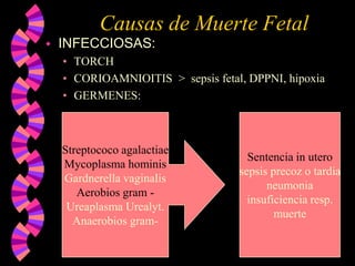 Causas de Muerte FetalINFECCIOSAS:TORCHCORIOAMNIOITIS  >  sepsis fetal, DPPNI, hipoxiaGERMENES: Streptococo agalactiaeMycoplasma hominisGardnerella vaginalisAerobios gram -Ureaplasma Urealyt.Anaerobios gram-Sentencia in uterosepsis precoz o tardianeumoniainsuficiencia resp.muerte