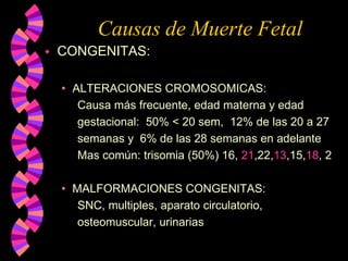 Causas de Muerte FetalCONGENITAS:ALTERACIONES CROMOSOMICAS:      Causa más frecuente, edad materna y edad         gestacional:  50% < 20 sem,  12% de las 20 a 27              semanas y  6% de las 28 semanas en adelante     Mas común: trisomia (50%) 16, 21,22,13,15,18, 2MALFORMACIONES CONGENITAS:     SNC, multiples, aparato circulatorio,              osteomuscular, urinarias