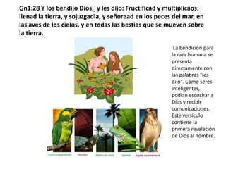 Gn1:28 Y los bendijo Dios, y les dijo: Fructificad y multiplicaos; llenad la tierra, y sojuzgadla, y señoread en los peces del mar, en las aves de los cielos, y en todas las bestias que se mueven sobre la tierra. La bendición para la raza humana se presenta directamente con las palabras "les dijo". Como seres inteligentes, podían escuchar a Dios y recibir comunicaciones. Este versículo contiene la primera revelación de Dios al hombre.