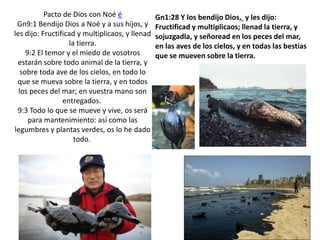 Gn1:28 Y los bendijo Dios, y les dijo: Fructificad y multiplicaos; llenad la tierra, y sojuzgadla, y señoread en los peces del mar, en las aves de los cielos, y en todas las bestias que se mueven sobre la tierra. Pacto de Dios con Noé éGn9:1 Bendijo Dios a Noé y a sus hijos, y les dijo: Fructificad y multiplicaos, y llenad la tierra.9:2 El temor y el miedo de vosotros estarán sobre todo animal de la tierra, y sobre toda ave de los cielos, en todo lo que se mueva sobre la tierra, y en todos los peces del mar; en vuestra mano son entregados. 9:3 Todo lo que se mueve y vive, os será para mantenimiento: así como las legumbres y plantas verdes, os lo he dado todo. 