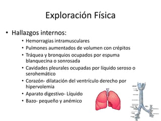 Fisiopatología de la sumersión:2. MUERTES EN EL AGUA CON PULMONES SECOS:Debida a un espasmo de glotis que impide la entrada del agua en las vías respiratorias.La apnea inicial estimula a los quimiorreceptores carotídeos, provocando una parada cardíaca de origen vagal, la cual podría ser igualmente facilitada al entrar en contacto con el agua.