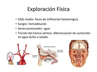 Exploración Física Hallazgos externos:Hongo de espumaEspasmo cadavérico- reacción vitalLivideces cadavéricas-diluciónqueexperimentala sangre, tras penetrar el líquido de sumersión en el torrente circulatorio.Efectos del agua sobre el cuerpo:Piel con aspecto anserinoEnfriamientoMaceración cutáneaEvolución a la putrefacción cadavéricaSaponificaciónLesiones externas