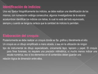 Identificación de indicios:
Una vez fijados fotográficamente los indicios, se debe realizar una identificación de los
mismos, con numeración arábiga consecutiva; algunos investigadores de la escena
acostumbran identificar los indicios con letras, lo cual no está del todo equivocado,
siempre y cuando se tenga la certeza que la cantidad de indicios lo permitan.

Elaboración del croquis:
Posteriormente se debe realizar un croquis donde se fije, gráfica y literalmente el sitio.
Un croquis es un dibujo simplificado a mano alzada, o sea sin la utilización de ningún
tipo de instrumental de dibujo especializado, únicamente lápiz, lapicero y papel. El croquis
para fines forenses, no requiere una precisión milimétrica, ni mucho menos indicar una
escala numérica, eso sí los elementos en él contenidos deben guardar una
relación lógica de dimensión entre ellos.

 