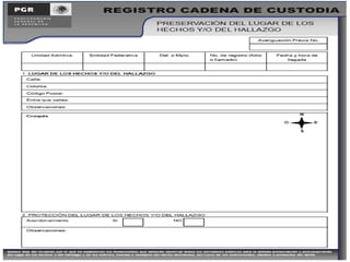Muertes por vehículo automotor