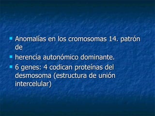 Anomalías en los cromosomas 14. patrón de  herencia autonómico dominante. 6 genes: 4 codican proteínas del desmosoma (estructura de unión intercelular ) 