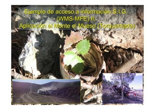 Ejemplo de acceso a informaciEjemplo de acceso a informacióónn S.I.GS.I.G..
(WMS(WMS--MFE) II;MFE) II;
AplicaciAplicacióón al Monte el Mueso (Torquemada)n al Monte el Mueso (Torquemada)
 
