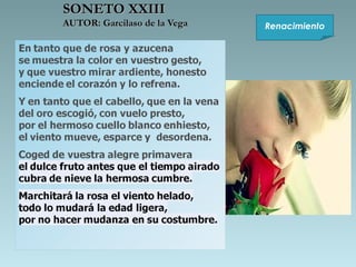 SONETO XXIII

AUTOR: Garcilaso de la Vega

Renacimiento

 