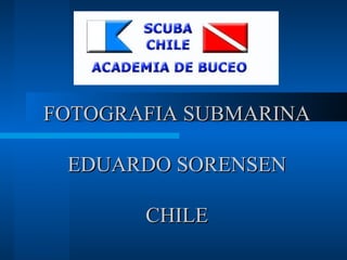 FOTOGRAFIA SUBMARINA EDUARDO SORENSEN CHILE 