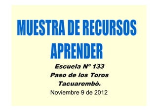 Escuela Nº 133
Paso de los Toros
  Tacuarembò.
Noviembre 9 de 2012
 